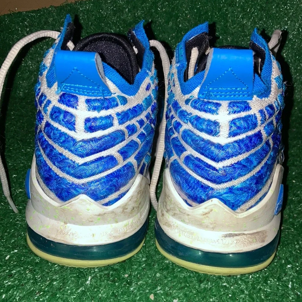 Lebrons - Picture 4 of 7